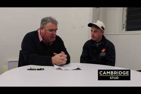 Cambridge Stud Te Rapa Trials | Jamie Richards 