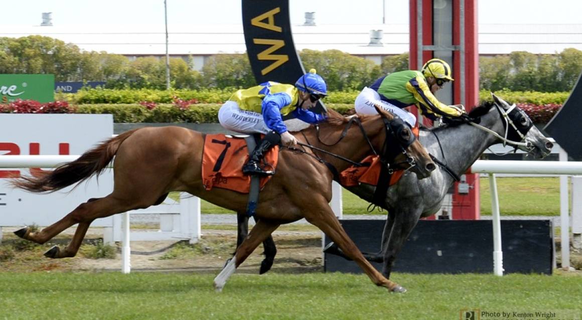 Members Raceday - 2026