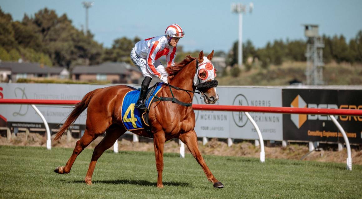 Waikato Stud Foxbridge Plate Raceday 2025