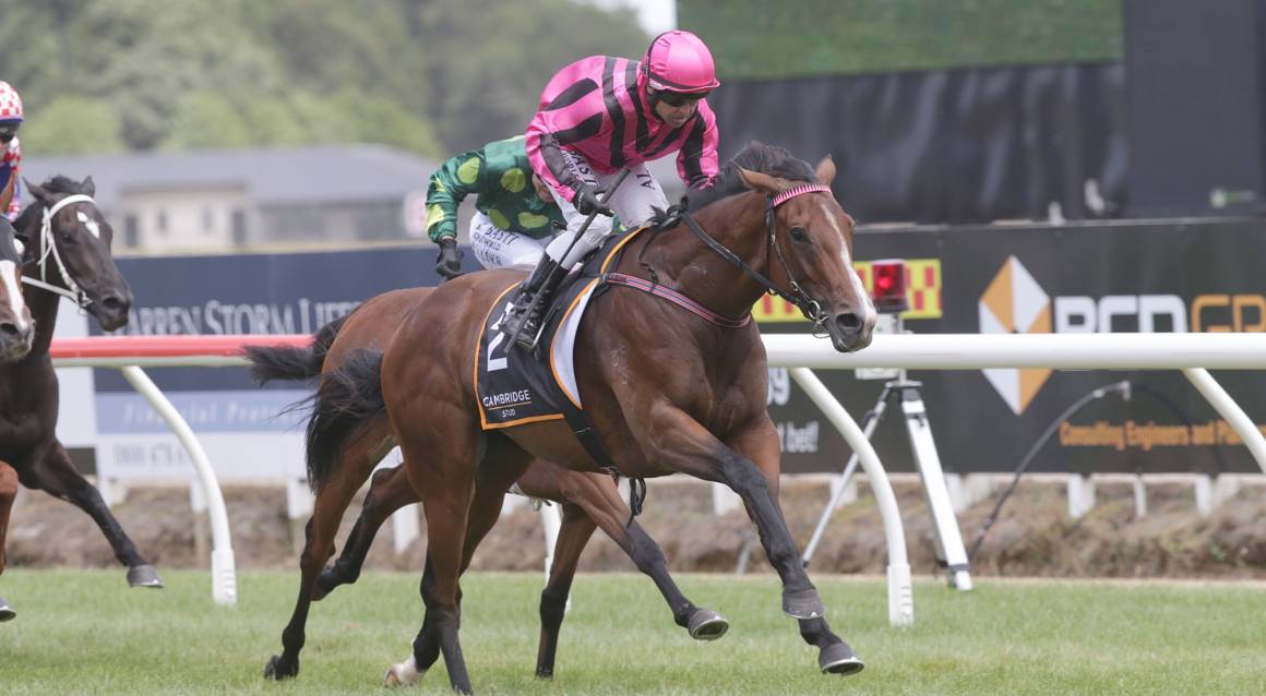 St Johns Foundation Raceday