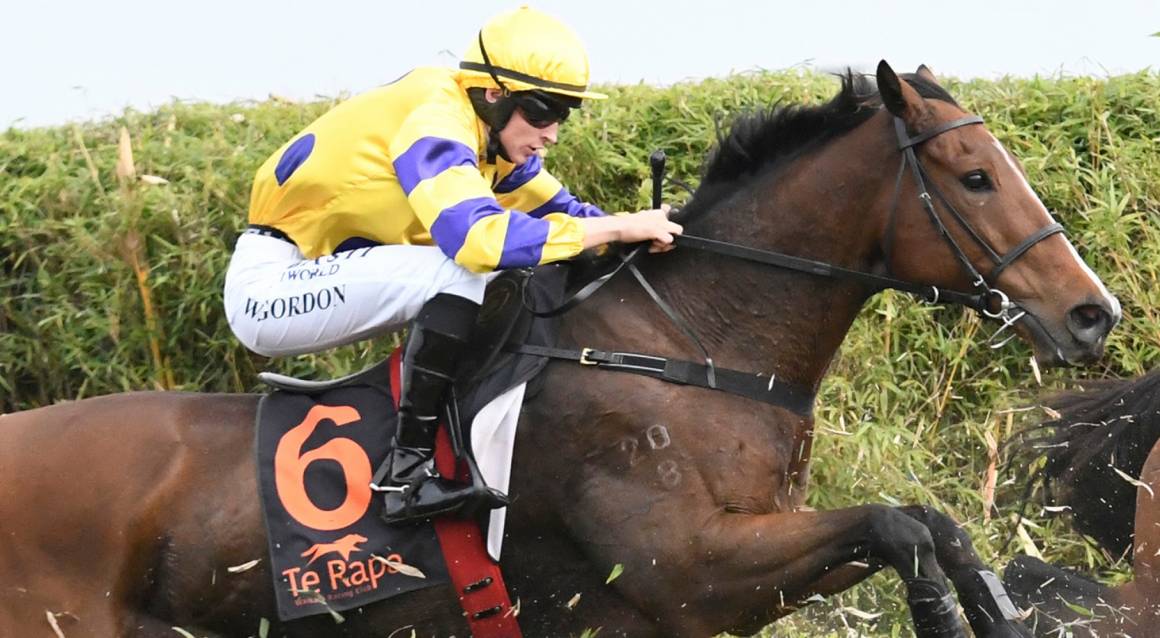 Signature Homes Jumps Day 2026